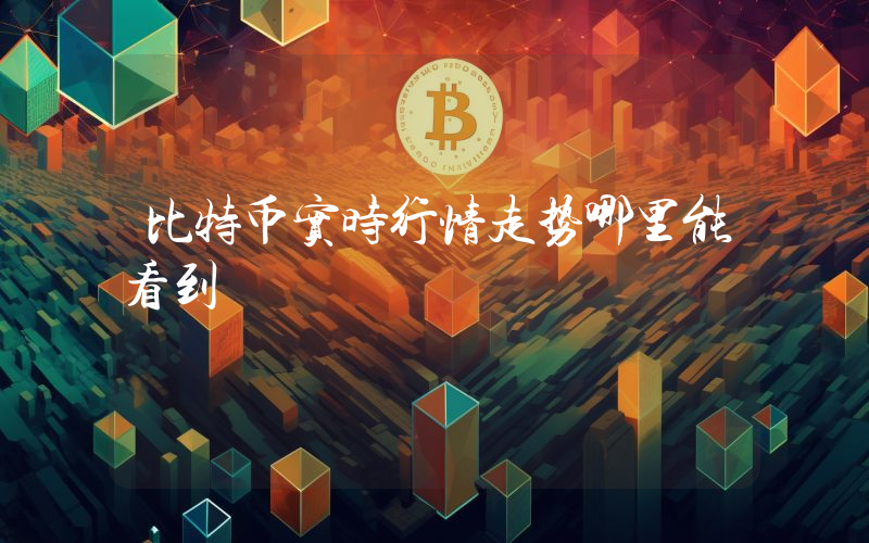 比特币实时行情走势哪里能看到