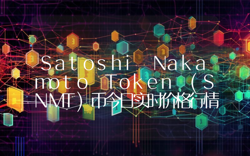 Satoshi Nakamoto Token (SNMT)币今日实时价格行情最新消息2024年04月07日