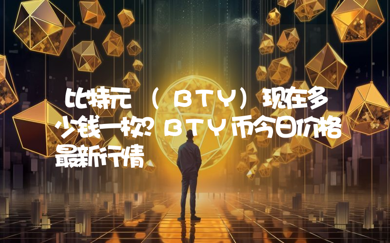 比特元 (BTY)现在多少钱一枚？BTY币今日价格最新行情
