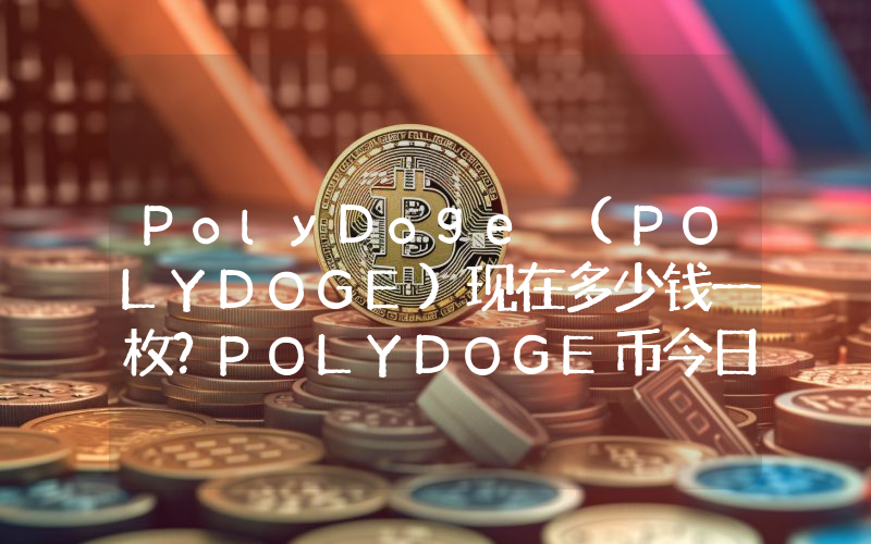 PolyDoge (POLYDOGE)现在多少钱一枚？POLYDOGE币今日价格最新行情