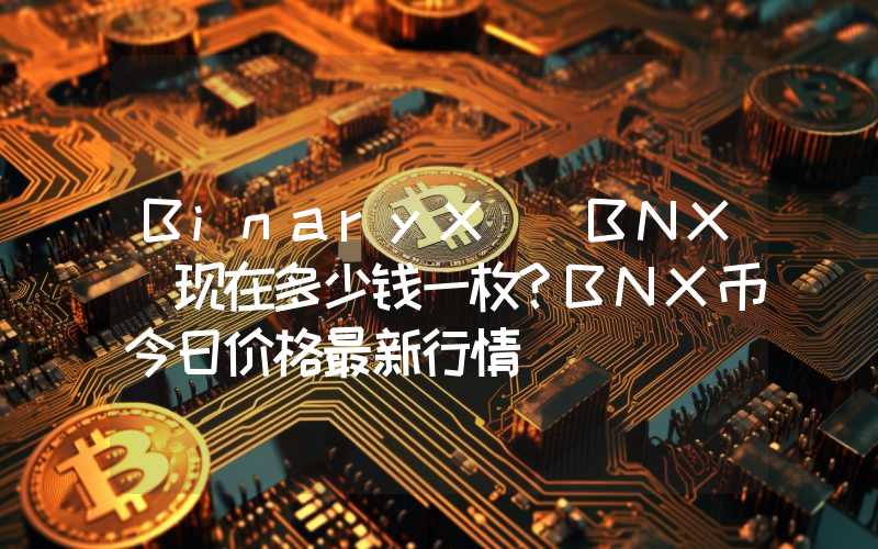 BinaryX (BNX)现在多少钱一枚？BNX币今日价格最新行情