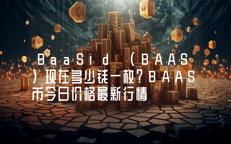 BaaSid (BAAS)现在多少钱一枚？BAAS币今日价格最新行情