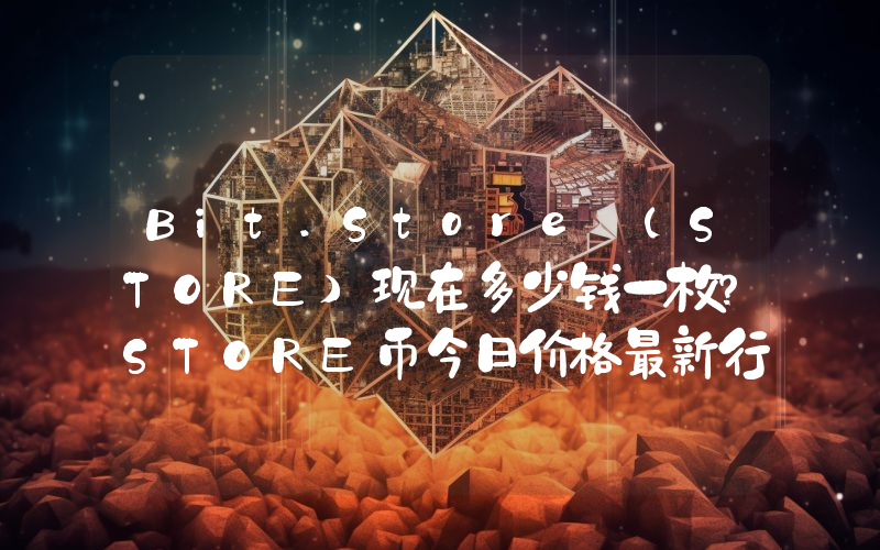 Bit.Store (STORE)现在多少钱一枚？STORE币今日价格最新行情