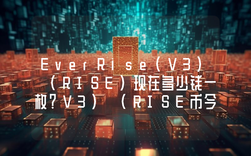 EverRise(V3) (RISE)现在多少钱一枚？V3) (RISE币今日价格最新行情