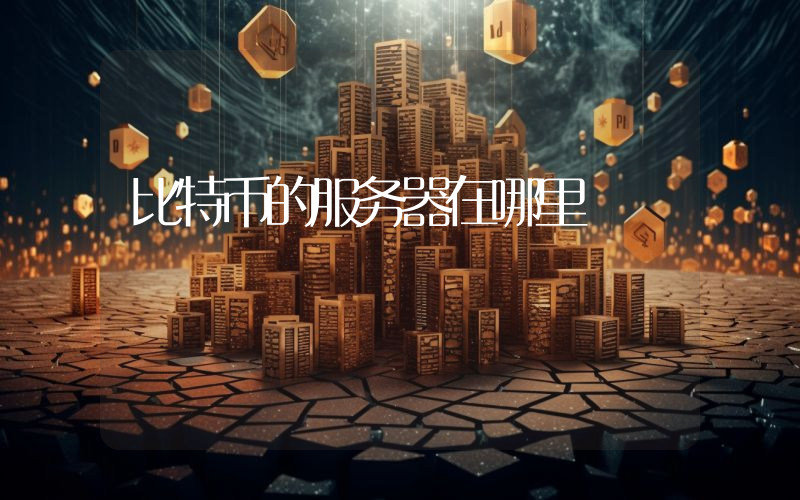 比特币的服务器在哪里