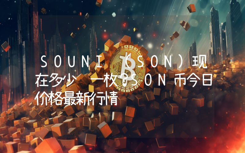 SOUNI (SON)现在多少钱一枚？SON币今日价格最新行情