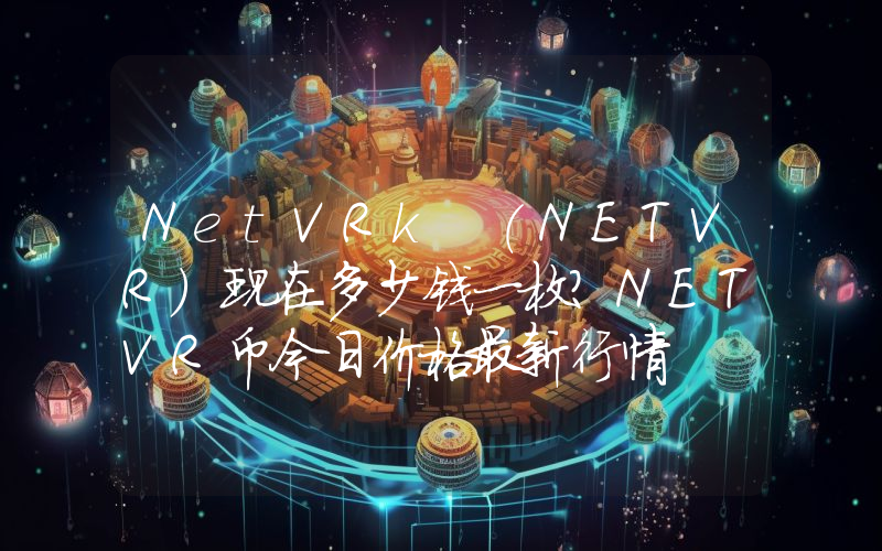 NetVRk (NETVR)现在多少钱一枚？NETVR币今日价格最新行情
