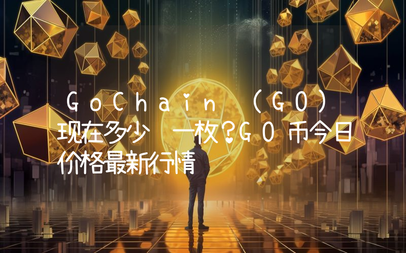 GoChain (GO)现在多少钱一枚？GO币今日价格最新行情