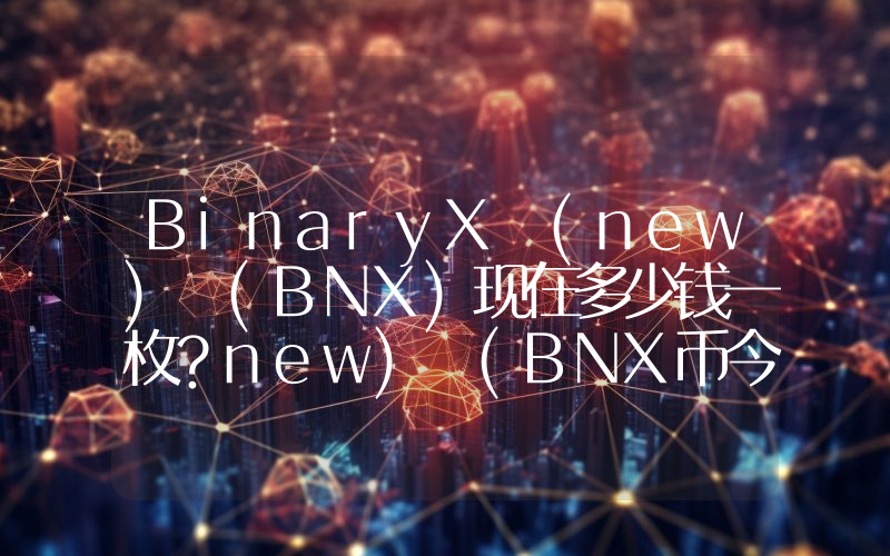 BinaryX (new) (BNX)现在多少钱一枚？new) (BNX币今日价格最新行情