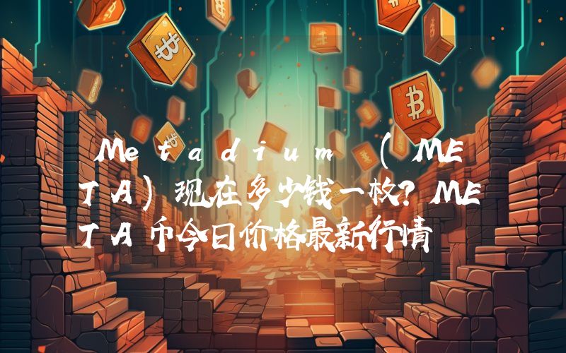 Metadium (META)现在多少钱一枚？META币今日价格最新行情