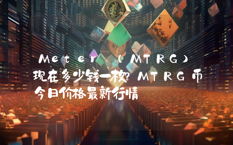 Meter (MTRG)现在多少钱一枚？MTRG币今日价格最新行情