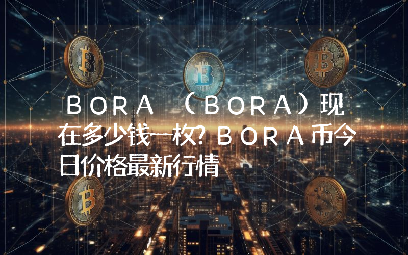 BORA (BORA)现在多少钱一枚？BORA币今日价格最新行情