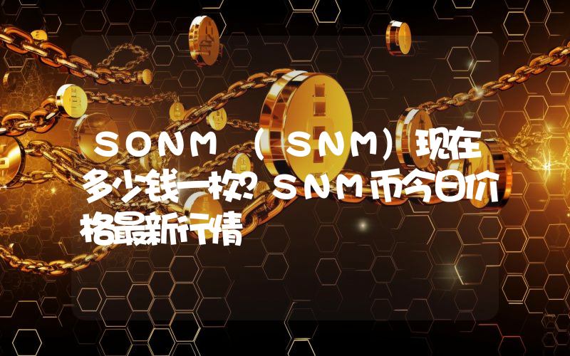 SONM (SNM)现在多少钱一枚？SNM币今日价格最新行情