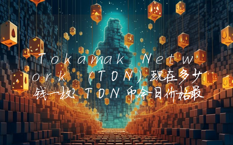 Tokamak Network (TON)现在多少钱一枚？TON币今日价格最新行情