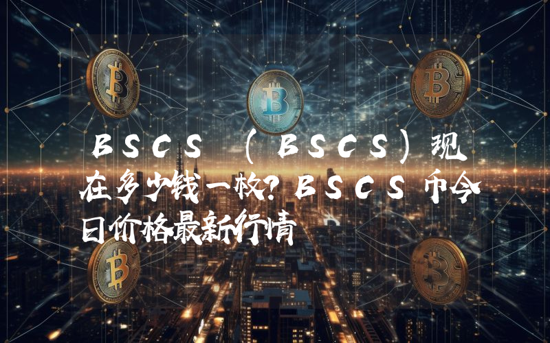 BSCS (BSCS)现在多少钱一枚？BSCS币今日价格最新行情