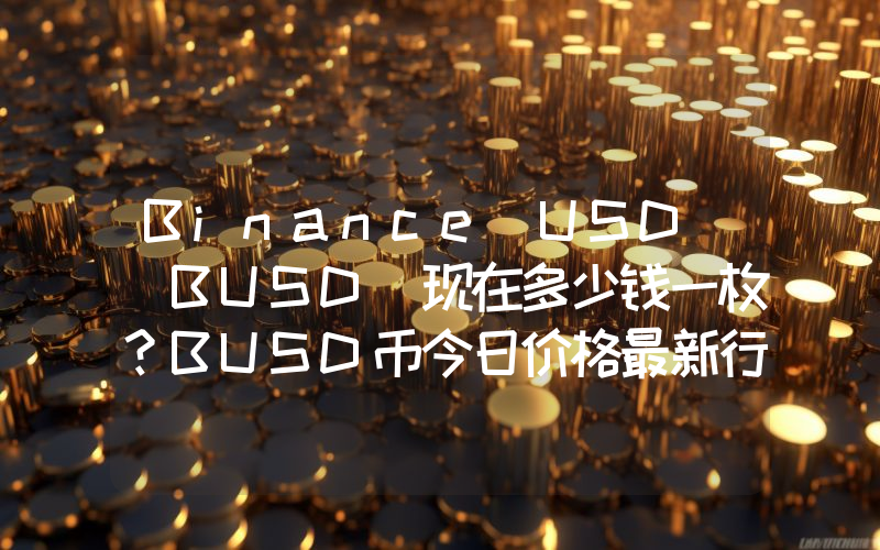 Binance USD (BUSD)现在多少钱一枚？BUSD币今日价格最新行情