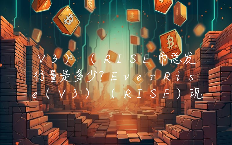 V3) (RISE币总发行量是多少？EverRise(V3) (RISE)现在流通量多少？