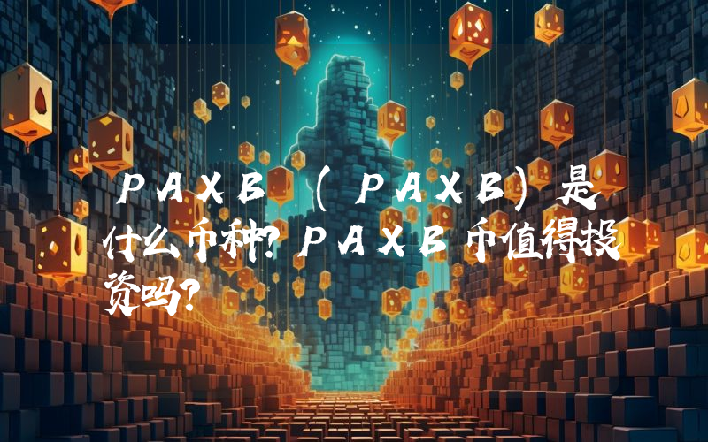 PAXB (PAXB)是什么币种？PAXB币值得投资吗？