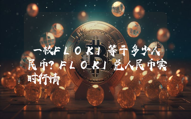 一枚FLOKI等于多少人民币?FLOKI兑人民币实时行情