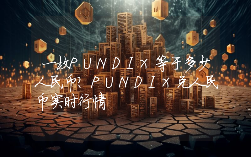 一枚PUNDIX等于多少人民币?PUNDIX兑人民币实时行情
