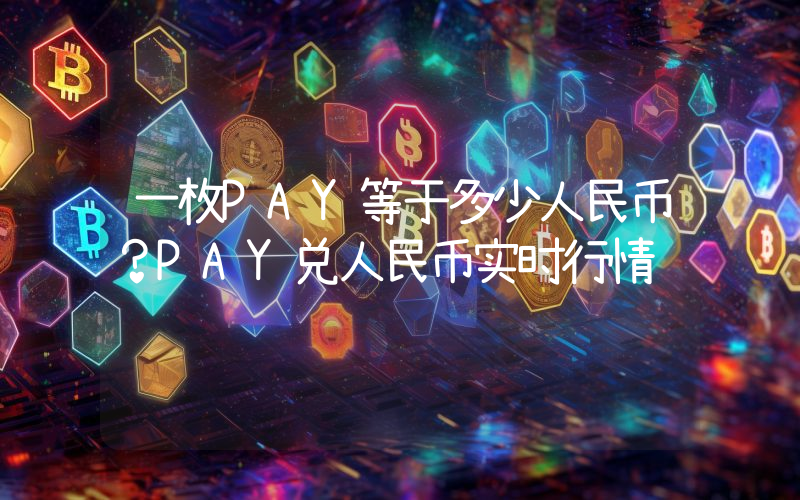 一枚PAY等于多少人民币?PAY兑人民币实时行情