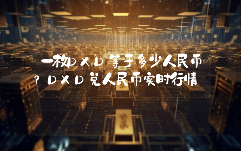 一枚DXD等于多少人民币?DXD兑人民币实时行情