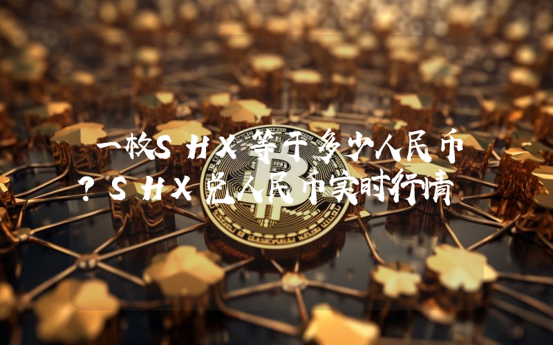 一枚SHX等于多少人民币?SHX兑人民币实时行情