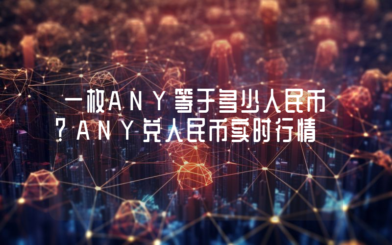 一枚ANY等于多少人民币?ANY兑人民币实时行情