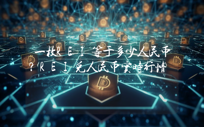 一枚REI等于多少人民币？REI兑人民币实时行情