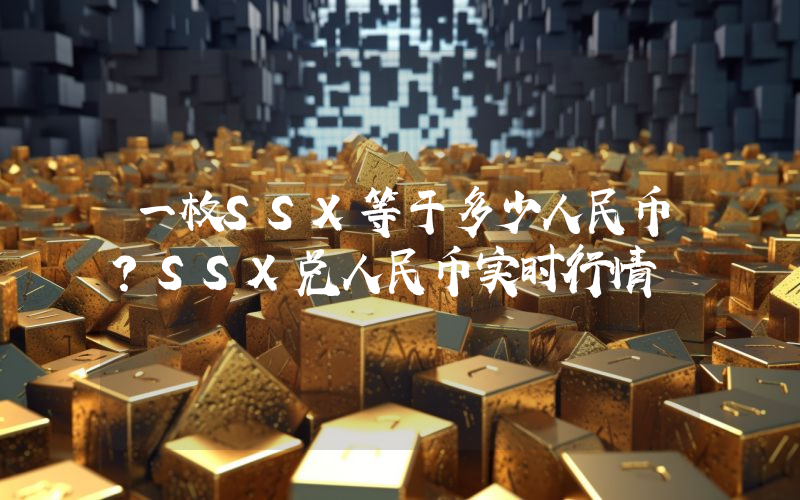 一枚SSX等于多少人民币？SSX兑人民币实时行情