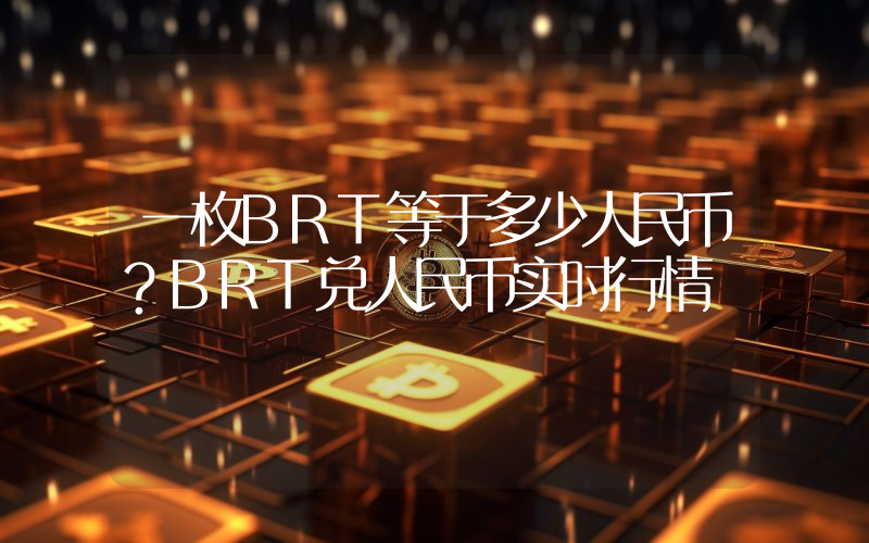 一枚BRT等于多少人民币？BRT兑人民币实时行情