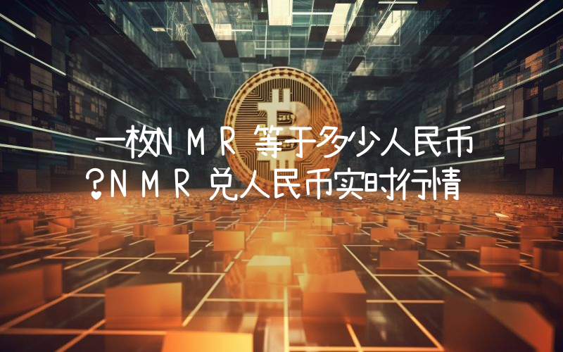 一枚NMR等于多少人民币？NMR兑人民币实时行情