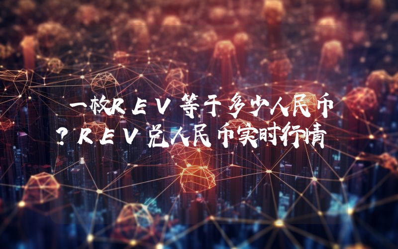一枚REV等于多少人民币？REV兑人民币实时行情