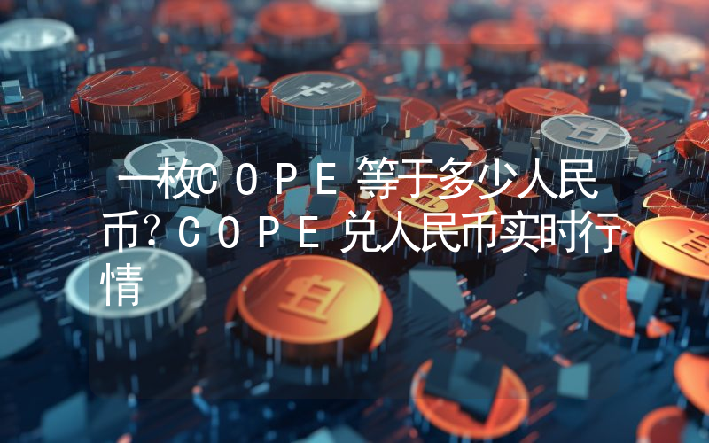 一枚COPE等于多少人民币？COPE兑人民币实时行情