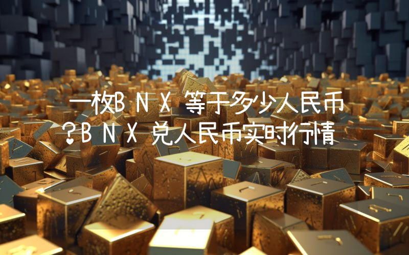 一枚BNX等于多少人民币？BNX兑人民币实时行情