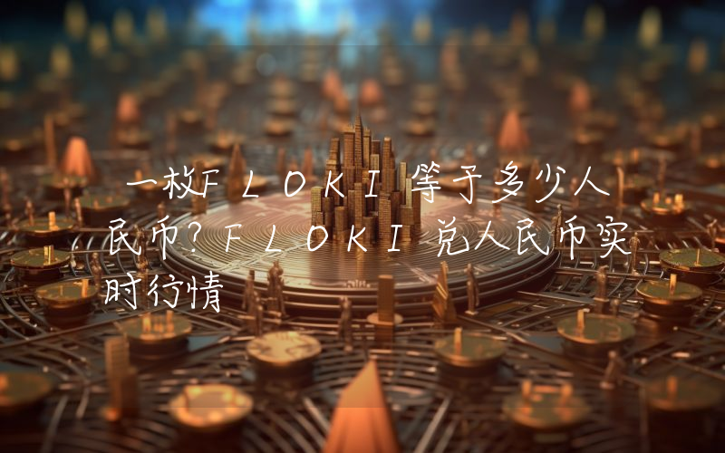 一枚FLOKI等于多少人民币？FLOKI兑人民币实时行情