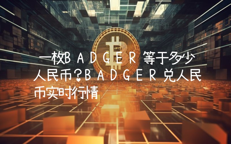 一枚BADGER等于多少人民币？BADGER兑人民币实时行情