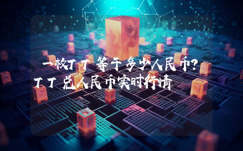 一枚TT等于多少人民币？TT兑人民币实时行情