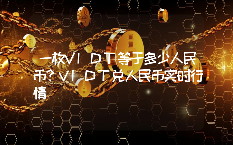 一枚VIDT等于多少人民币？VIDT兑人民币实时行情