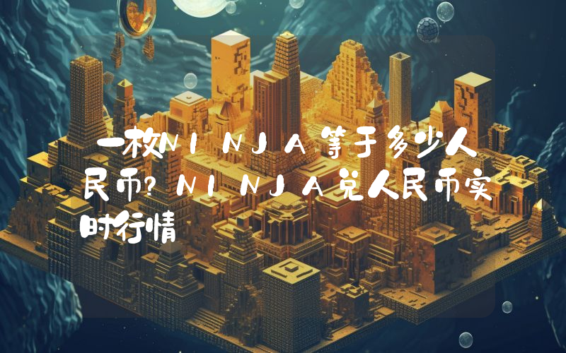一枚NINJA等于多少人民币？NINJA兑人民币实时行情