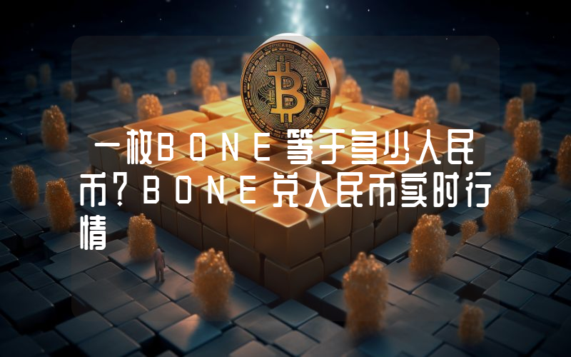 一枚BONE等于多少人民币？BONE兑人民币实时行情