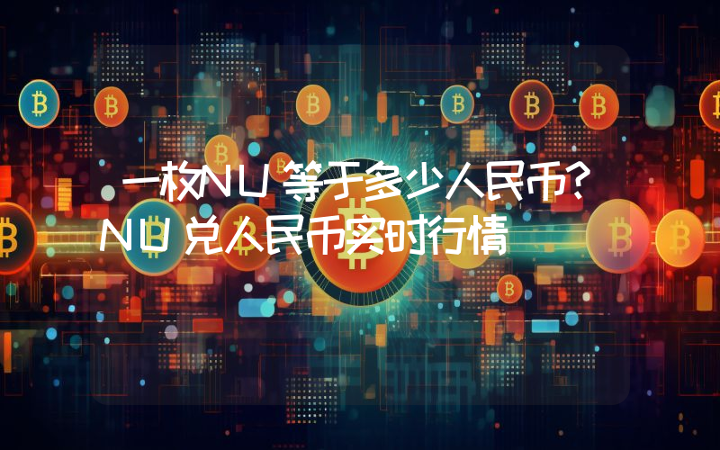一枚NU等于多少人民币？NU兑人民币实时行情