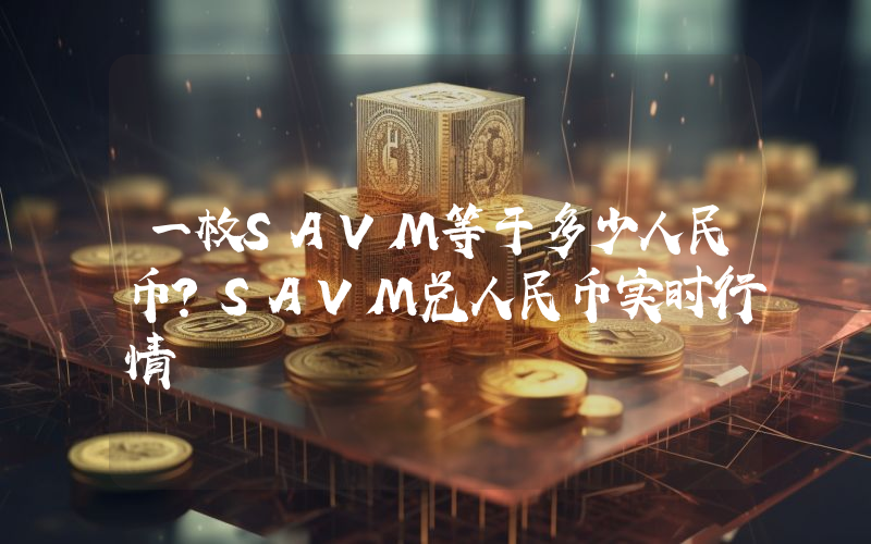 一枚SAVM等于多少人民币？SAVM兑人民币实时行情