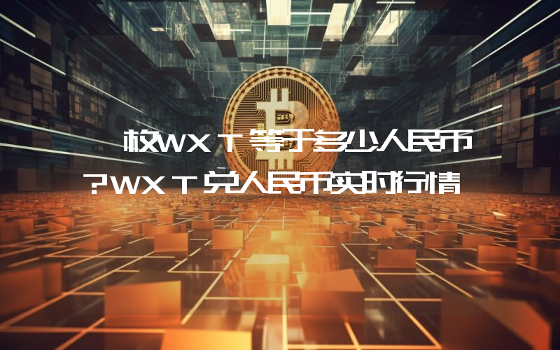一枚WXT等于多少人民币？WXT兑人民币实时行情