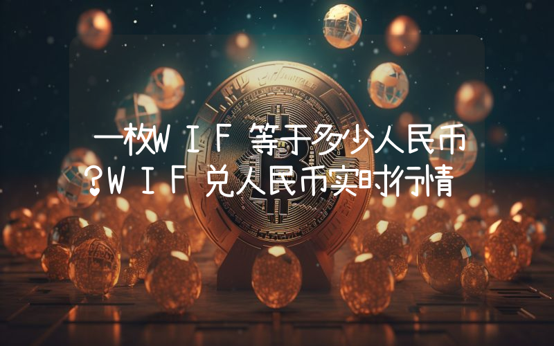 一枚WIF等于多少人民币？WIF兑人民币实时行情
