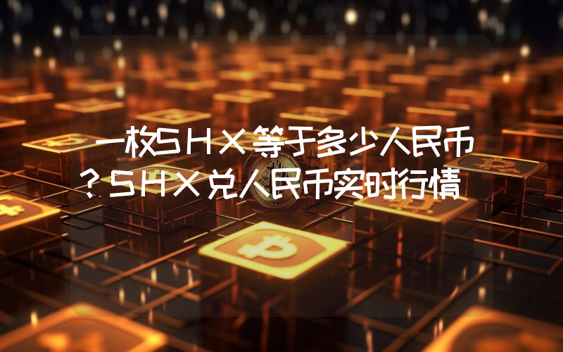 一枚SHX等于多少人民币？SHX兑人民币实时行情