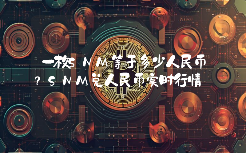 一枚SNM等于多少人民币？SNM兑人民币实时行情