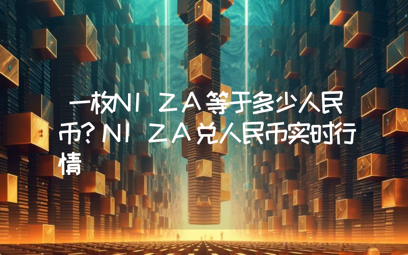 一枚NIZA等于多少人民币？NIZA兑人民币实时行情