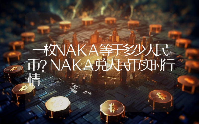 一枚NAKA等于多少人民币？NAKA兑人民币实时行情