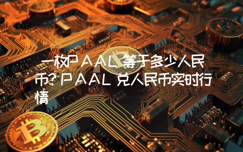 一枚PAAL等于多少人民币？PAAL兑人民币实时行情